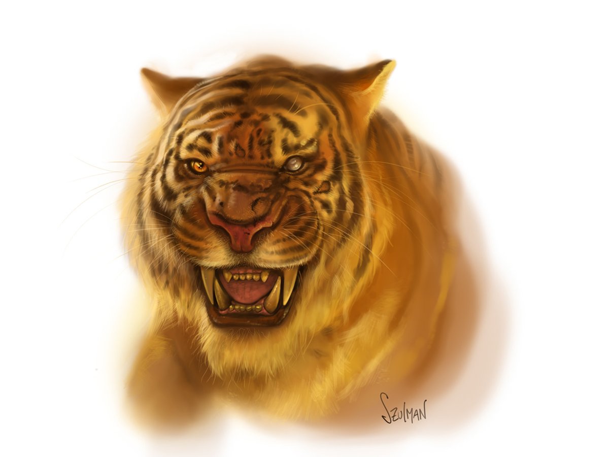 Jungle Book Shere Khans Cunning Reign Ended by Mowgli