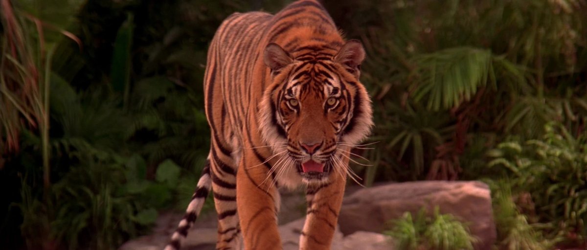 Shere Khans Antagonistic Role and His Key Conflicts